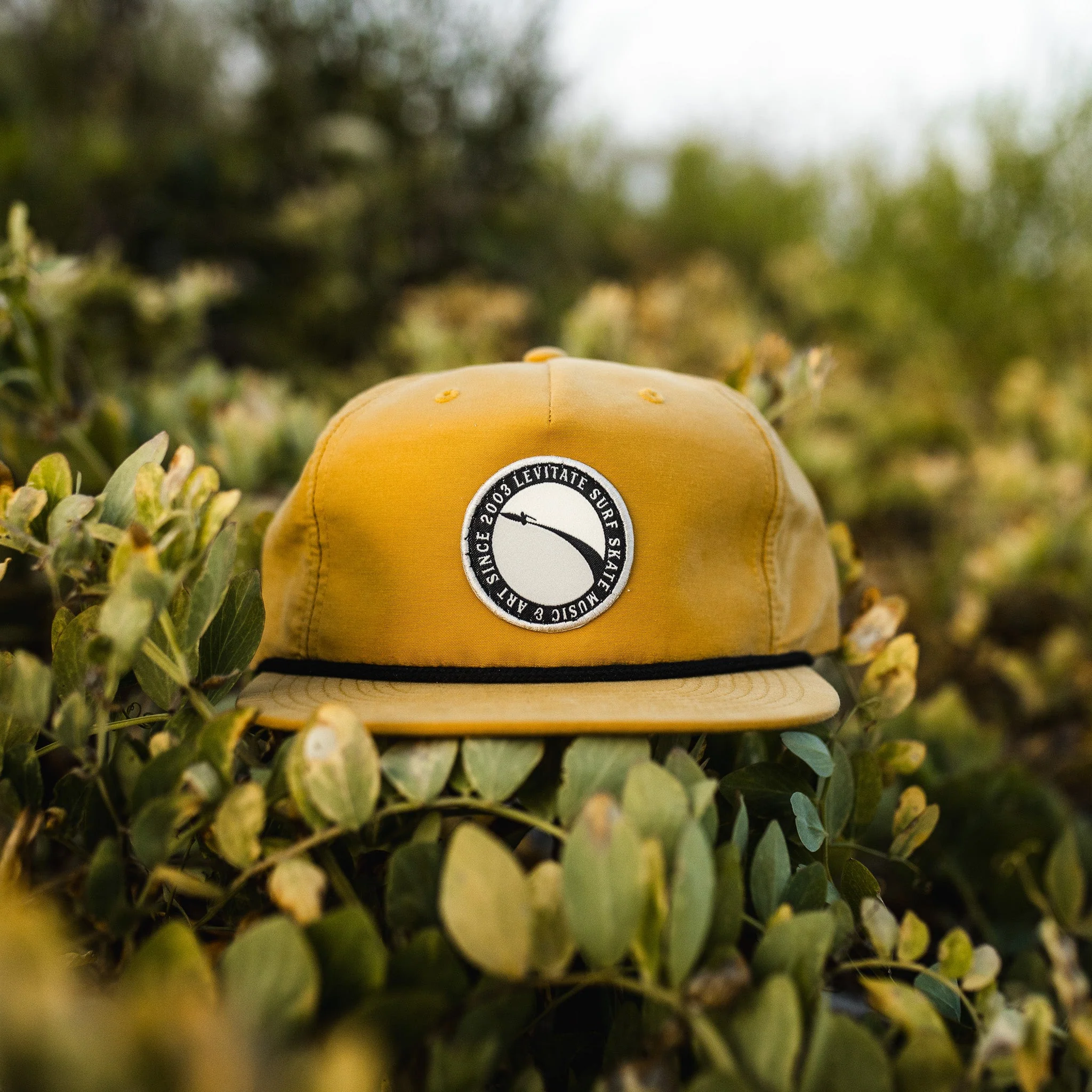 Cutback Snapback - Image 19
